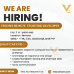 We are Hiring Remote Frontend Developer 2025