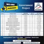 Government Project Jobs 2025